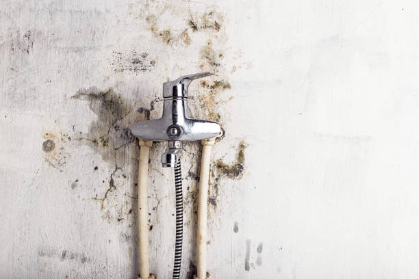 Best Post-Flood Mold Remediation in Rocklin, CA